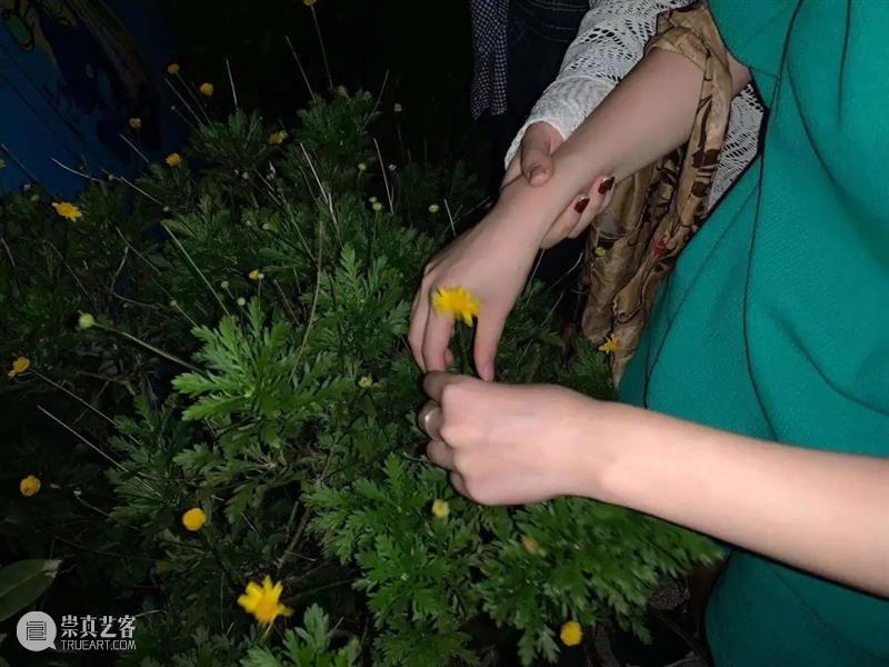 A4驻留|触目艺术小组:“触觉照片”的跨媒介实验 触目 艺术 小组 触觉 媒介 照片 实验 触觉照片 期间 之间 崇真艺客