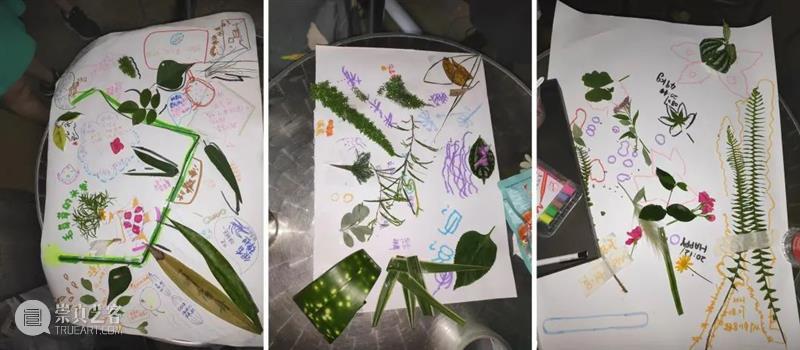 A4驻留|触目艺术小组:“触觉照片”的跨媒介实验 触目 艺术 小组 触觉 媒介 照片 实验 触觉照片 期间 之间 崇真艺客