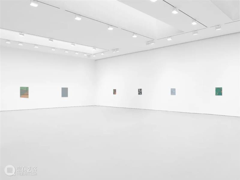 今日生日 | 托马·阿布茨 （Tomma Abts） 托马 阿布茨 Tomma Abts 生日 阿布茨Tomma 上图 Fimme 丙烯 油彩 崇真艺客