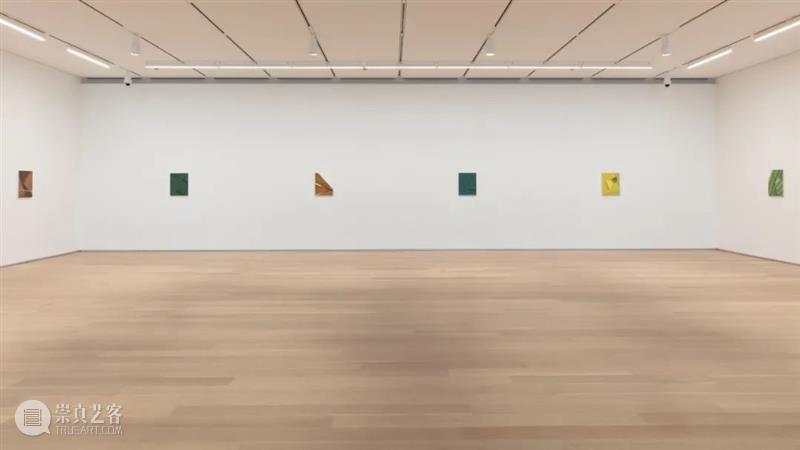 今日生日 | 托马·阿布茨 （Tomma Abts） 托马 阿布茨 Tomma Abts 生日 阿布茨Tomma 上图 Fimme 丙烯 油彩 崇真艺客