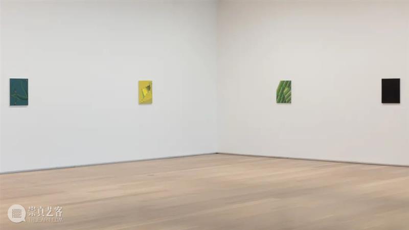 今日生日 | 托马·阿布茨 （Tomma Abts） 托马 阿布茨 Tomma Abts 生日 阿布茨Tomma 上图 Fimme 丙烯 油彩 崇真艺客