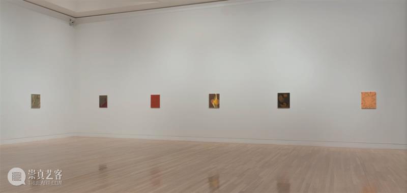 今日生日 | 托马·阿布茨 （Tomma Abts） 托马 阿布茨 Tomma Abts 生日 阿布茨Tomma 上图 Fimme 丙烯 油彩 崇真艺客