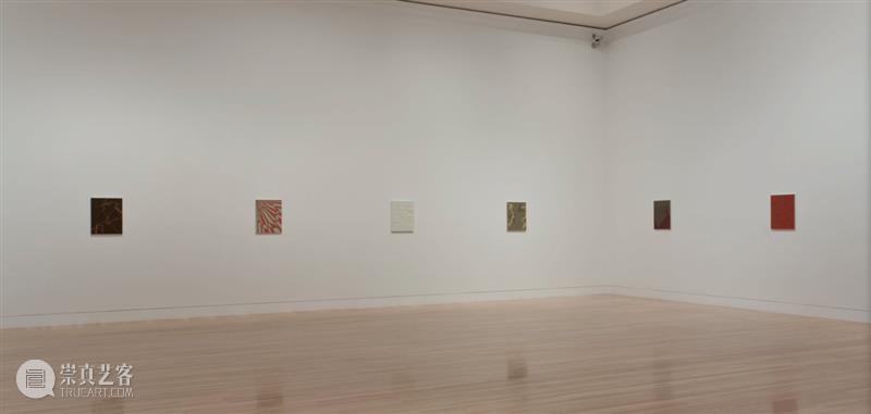 今日生日 | 托马·阿布茨 （Tomma Abts） 托马 阿布茨 Tomma Abts 生日 阿布茨Tomma 上图 Fimme 丙烯 油彩 崇真艺客