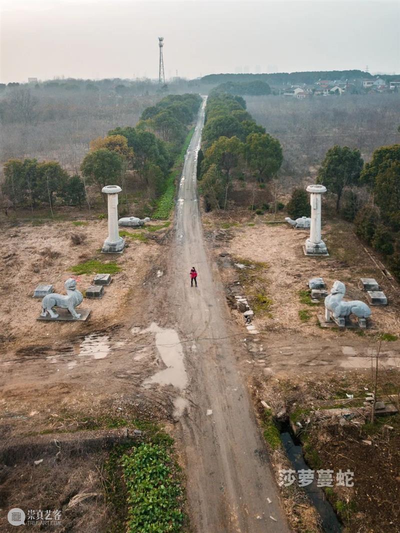 莎萝蔓蛇:《梁文帝萧顺之建陵》航拍 莎萝蔓 航拍 梁文帝萧顺之建陵 梁建陵 江苏省镇江市 丹阳市 曲阿街道 荆林村三城村北 南朝梁 太祖 崇真艺客