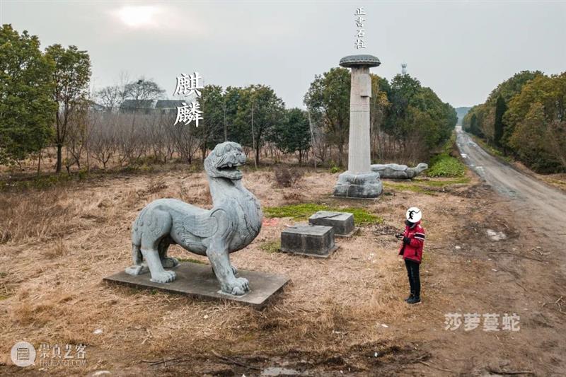 莎萝蔓蛇:《梁文帝萧顺之建陵》航拍 莎萝蔓 航拍 梁文帝萧顺之建陵 梁建陵 江苏省镇江市 丹阳市 曲阿街道 荆林村三城村北 南朝梁 太祖 崇真艺客