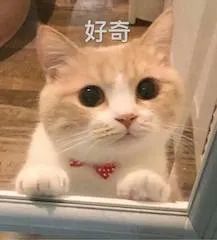 2022元旦档总票房超10亿;《哈利波特》特别节目正式上线 哈利波特 特别节目 票房 影视 好剧 小豆 资讯 豆瓣 电影 微信 崇真艺客