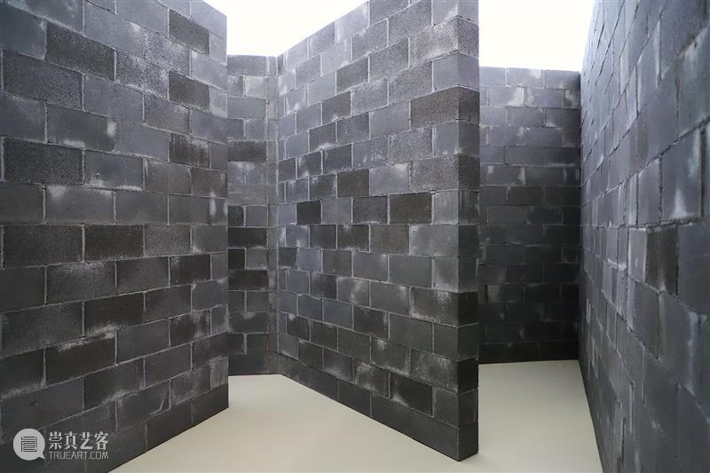 广东时代美术馆:一个不可复制的样本 广东时代美术馆 样本 馆长 赵趄 @museum Art 艺术 动态 背景 不同地区 崇真艺客