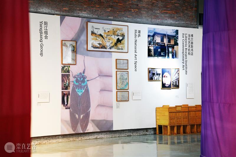 展览 ｜在变化中生成的“未知地带” ，探索珠三角艺术地图  上启艺术 崇真艺客
