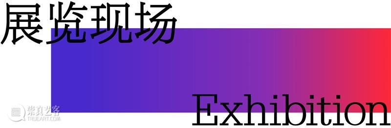 展览 ｜在变化中生成的“未知地带” ，探索珠三角艺术地图  上启艺术 崇真艺客