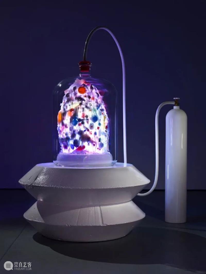 【IFA-艺术赏析】Mike Kelley | 在平庸中找寻灵感 艺术 Kelley 灵感 IFA 传统 一致性 矛盾性 美国 密歇根 艺术家 崇真艺客