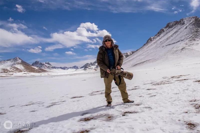 还没看吗？这可能是世界上第一张雪豹捕猎的近距离照片！ 照片 世界上 张雪豹 近距离 雪豹猎杀 中国 生物 影像 年赛 单元 崇真艺客