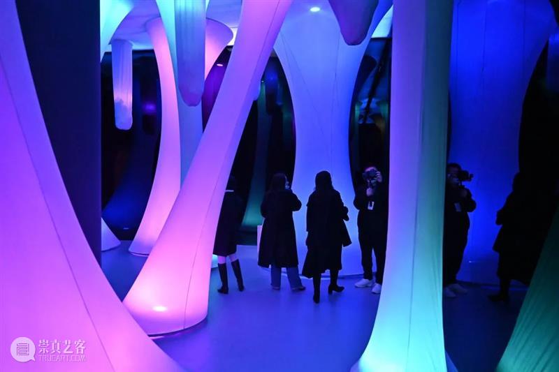 “Rong-源”空间艺术展正在宝龙美术馆展出 Rong 空间 艺术展 宝龙美术馆 上海崇明 西藏 冈仁波齐 省市 自治区 上海宝龙美术馆 崇真艺客