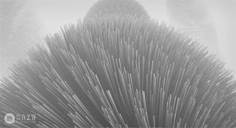 人气艺术家田晓磊：元宇宙时代，人对死亡不再恐惧 田晓磊 人气 艺术家 宇宙 时代 文章 艺术 yitiao art 原作者 崇真艺客