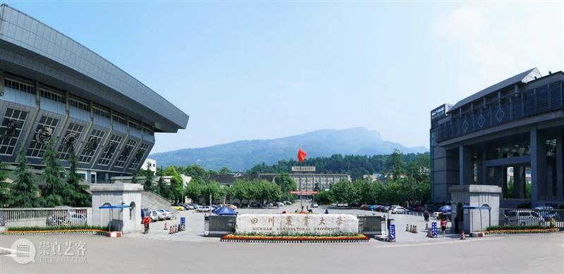 啊啊啊！广东美术联考成绩已出？来查分！！！ 美术 成绩 广东 广东省教育考试院 美术生 小志 高分 时刻 欧气 文殊菩萨 崇真艺客