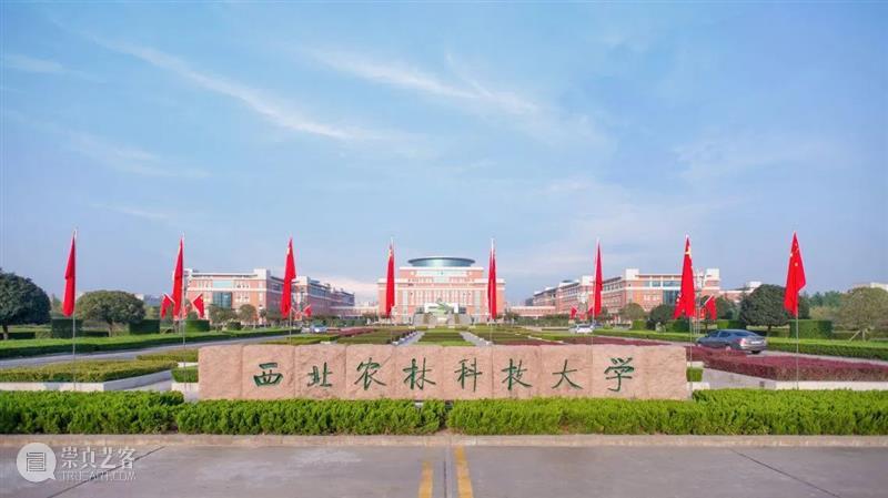 啊啊啊！广东美术联考成绩已出？来查分！！！ 美术 成绩 广东 广东省教育考试院 美术生 小志 高分 时刻 欧气 文殊菩萨 崇真艺客