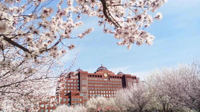 啊啊啊！广东美术联考成绩已出？来查分！！！ 美术 成绩 广东 广东省教育考试院 美术生 小志 高分 时刻 欧气 文殊菩萨 崇真艺客