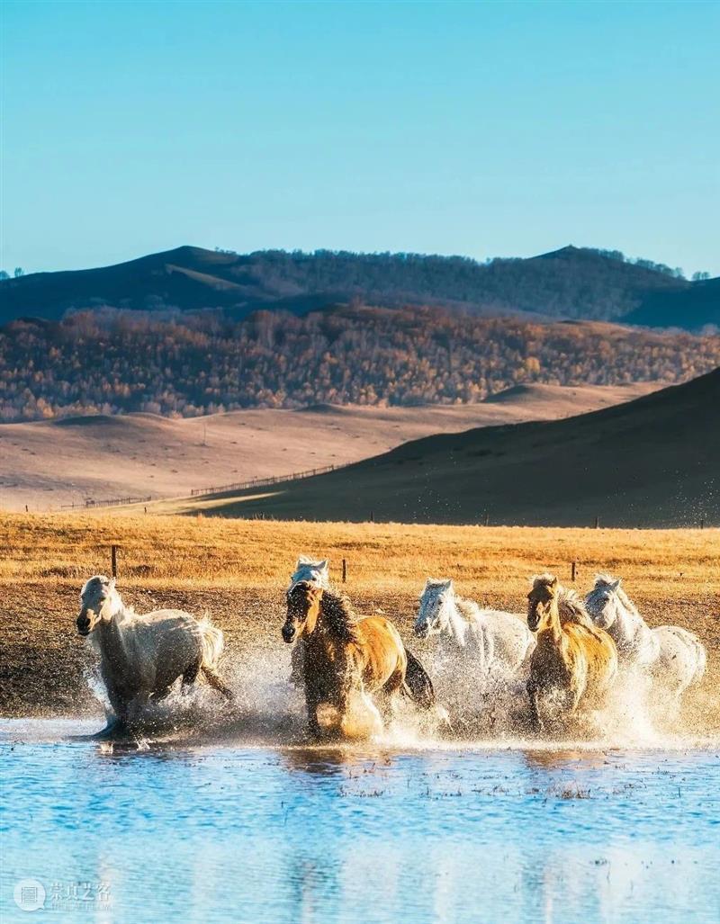 1/5的河北，为什么能浓缩中国？ 中国 河北 晨雾 坝上草原 视觉中国 小城 都城 沈阳 皇城 北京 崇真艺客