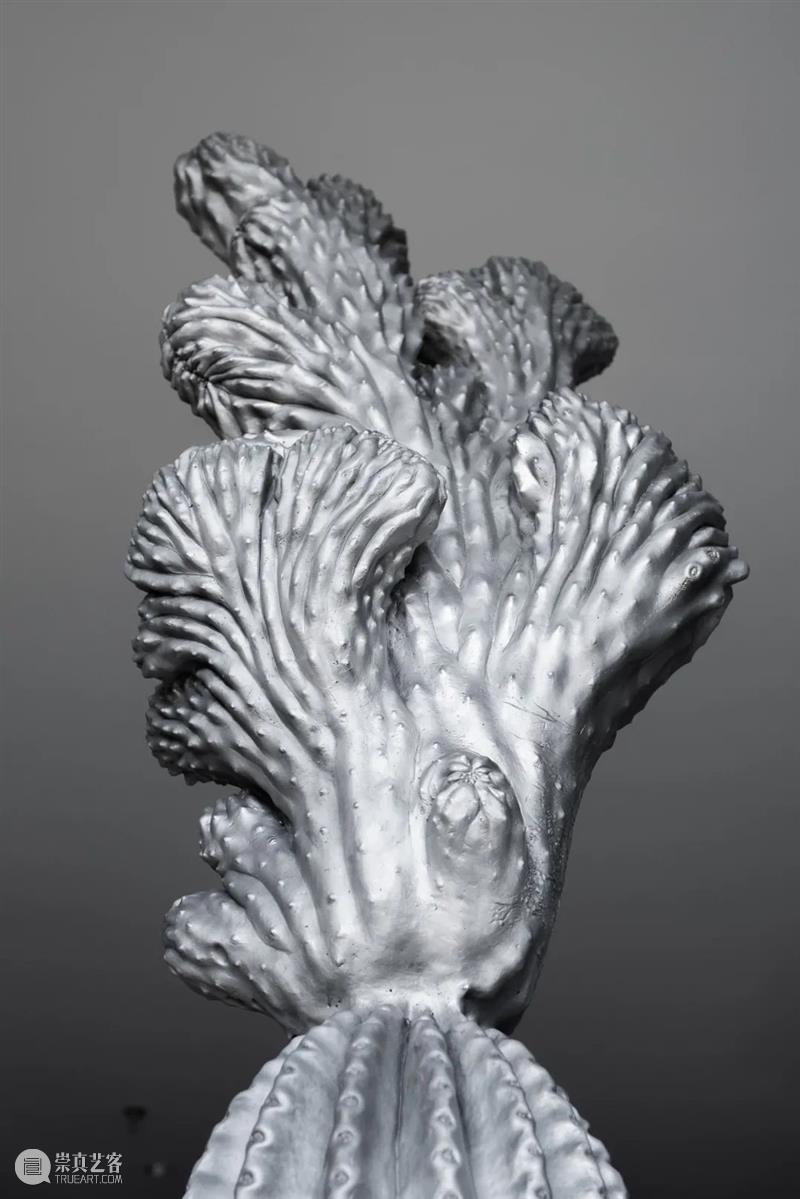 十二件丽江驻留艺术作品全部落位,一场云海间的艺术对话由此发声 丽江 艺术 作品 全部 落位 云海 复星艺术中心 Med 度假村 顾问 崇真艺客