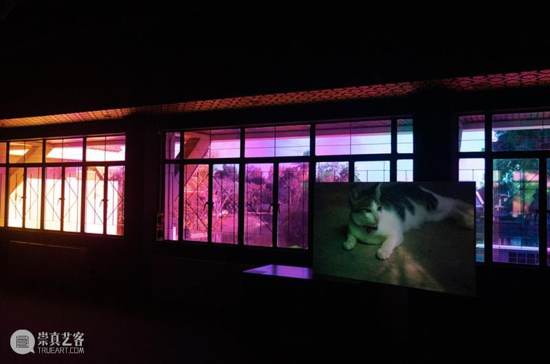 泰国双年展现场|杨福东新作《我痛恨这如此漫长的夜》以非线性叙事模糊现实与梦境的边界 杨福东 泰国 双年展 现场 梦境 新作 现实 边界 装置 彩色 崇真艺客