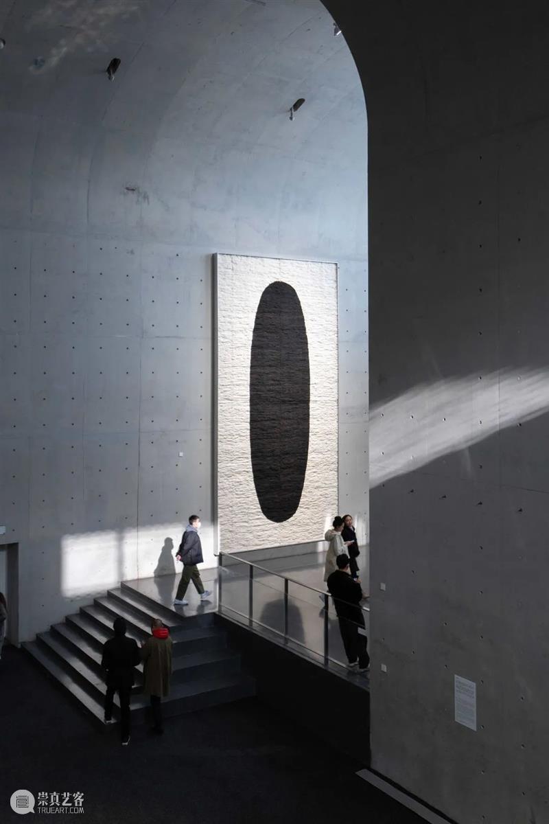 LONG重磅 | 赵赵同名个展开幕，展品跨越 1 亿年 赵赵 个展 LONG 重磅 展品 艺术家 龙美术馆 西岸 崔灿灿 星空 崇真艺客