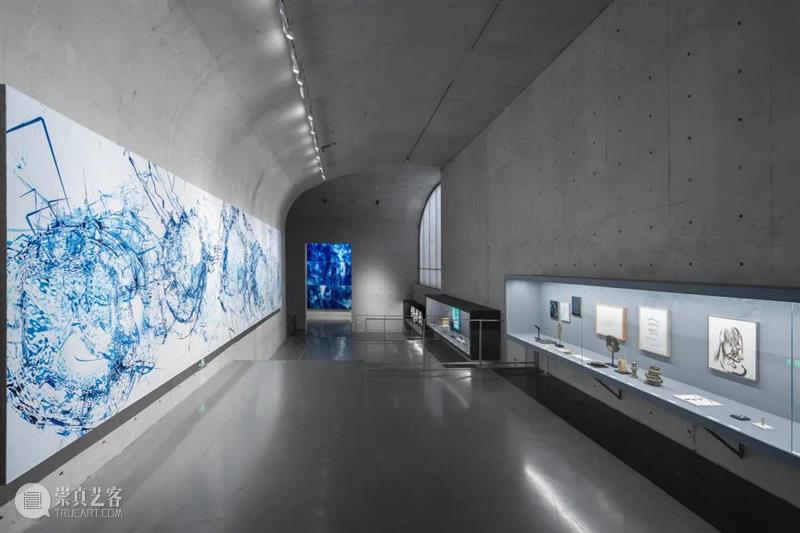 LONG重磅 | 赵赵同名个展开幕，展品跨越 1 亿年 赵赵 个展 LONG 重磅 展品 艺术家 龙美术馆 西岸 崔灿灿 星空 崇真艺客