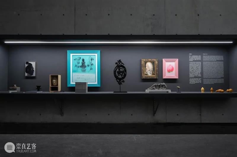 LONG重磅 | 赵赵同名个展开幕，展品跨越 1 亿年 赵赵 个展 LONG 重磅 展品 艺术家 龙美术馆 西岸 崔灿灿 星空 崇真艺客