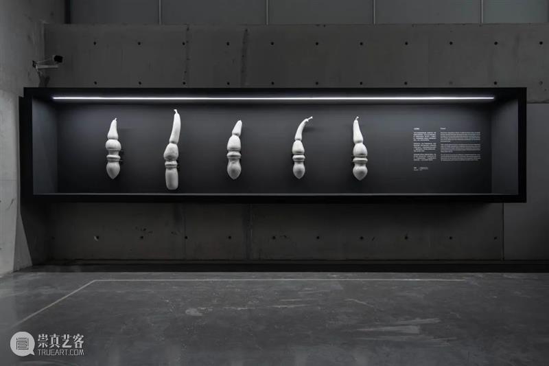 LONG重磅 | 赵赵同名个展开幕，展品跨越 1 亿年 赵赵 个展 LONG 重磅 展品 艺术家 龙美术馆 西岸 崔灿灿 星空 崇真艺客