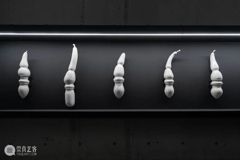 LONG重磅 | 赵赵同名个展开幕，展品跨越 1 亿年 赵赵 个展 LONG 重磅 展品 艺术家 龙美术馆 西岸 崔灿灿 星空 崇真艺客