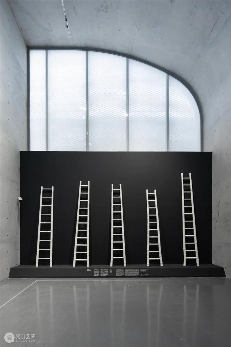 LONG重磅 | 赵赵同名个展开幕，展品跨越 1 亿年 赵赵 个展 LONG 重磅 展品 艺术家 龙美术馆 西岸 崔灿灿 星空 崇真艺客