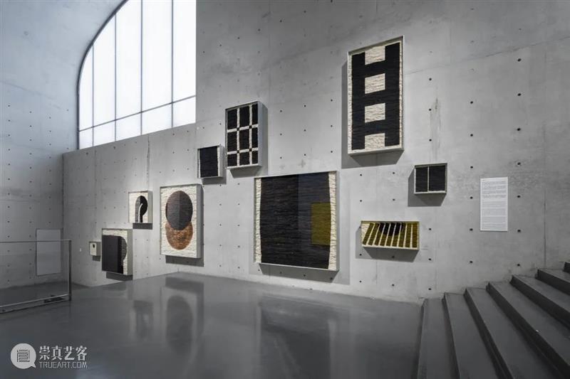 LONG重磅 | 赵赵同名个展开幕，展品跨越 1 亿年 赵赵 个展 LONG 重磅 展品 艺术家 龙美术馆 西岸 崔灿灿 星空 崇真艺客