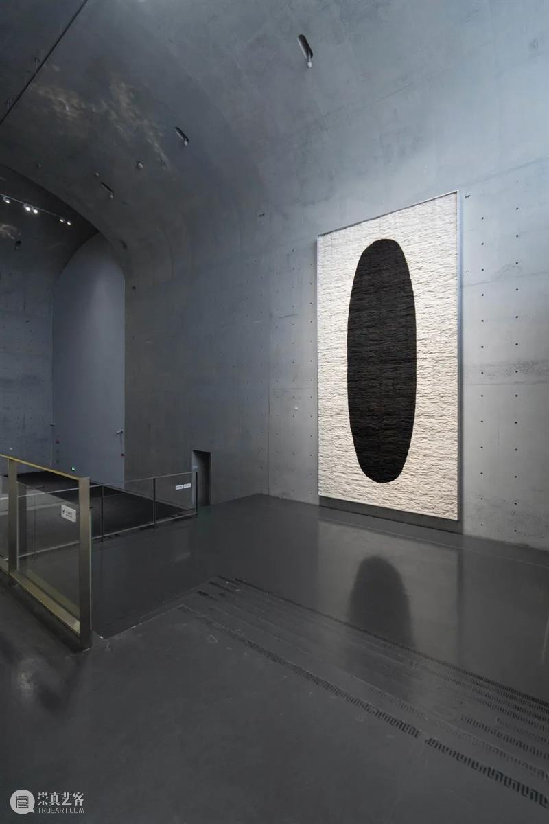 LONG重磅 | 赵赵同名个展开幕，展品跨越 1 亿年 赵赵 个展 LONG 重磅 展品 艺术家 龙美术馆 西岸 崔灿灿 星空 崇真艺客