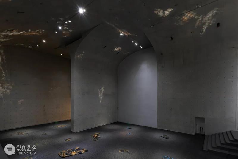LONG重磅 | 赵赵同名个展开幕，展品跨越 1 亿年 赵赵 个展 LONG 重磅 展品 艺术家 龙美术馆 西岸 崔灿灿 星空 崇真艺客