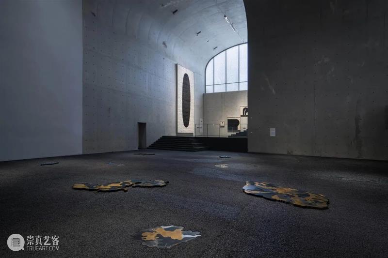 LONG重磅 | 赵赵同名个展开幕，展品跨越 1 亿年 赵赵 个展 LONG 重磅 展品 艺术家 龙美术馆 西岸 崔灿灿 星空 崇真艺客
