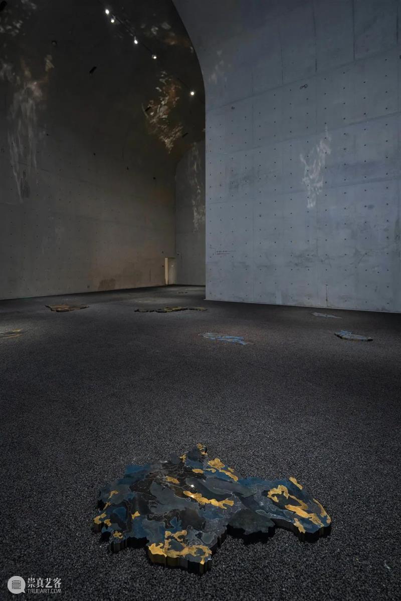 LONG重磅 | 赵赵同名个展开幕，展品跨越 1 亿年 赵赵 个展 LONG 重磅 展品 艺术家 龙美术馆 西岸 崔灿灿 星空 崇真艺客