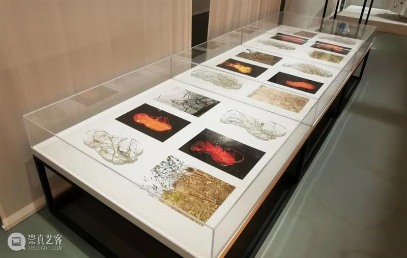 Newsstand242｜时尚、科技、艺术与零售，英国Selfridges百货正在聚集一切可以展望的未来 时尚 科技 Selfridges百货 英国 艺术 未来 Newsstand 经典 创意 商业 崇真艺客