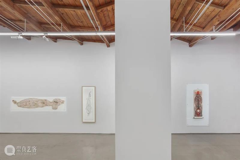 郭凤怡作品正在展出于上海池社展览“露西·布尔 & 郭凤怡” 露西 郭凤怡 池社 上海 作品 布尔 中国 启蒙挂扐过揲四图 60图 自然超能力功起源时间 崇真艺客