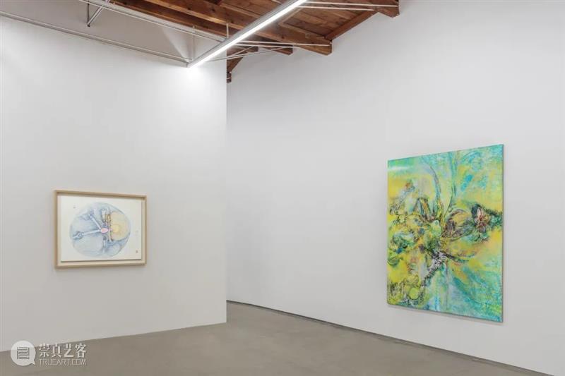 郭凤怡作品正在展出于上海池社展览“露西·布尔 & 郭凤怡” 露西 郭凤怡 池社 上海 作品 布尔 中国 启蒙挂扐过揲四图 60图 自然超能力功起源时间 崇真艺客