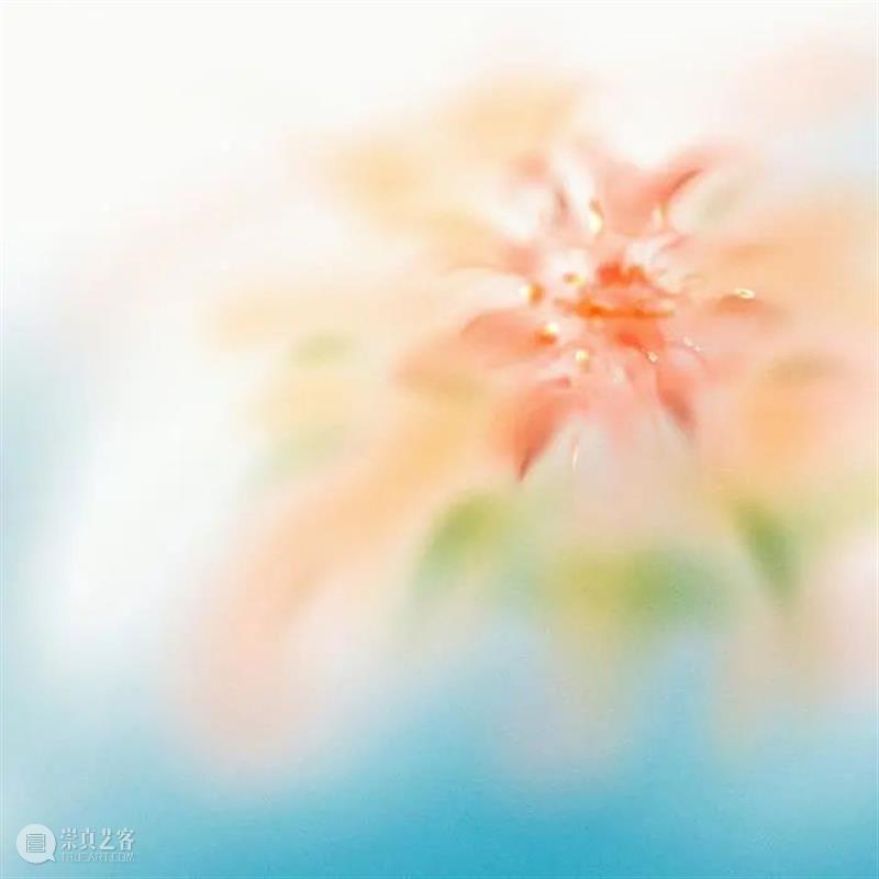 HOW OPENFILE | 熊姝华：画出我所感受到的。 熊姝华 OPENFILE 插画 艺术展 展期 艺术家 Singer Daniel Cremers Burgerman 崇真艺客