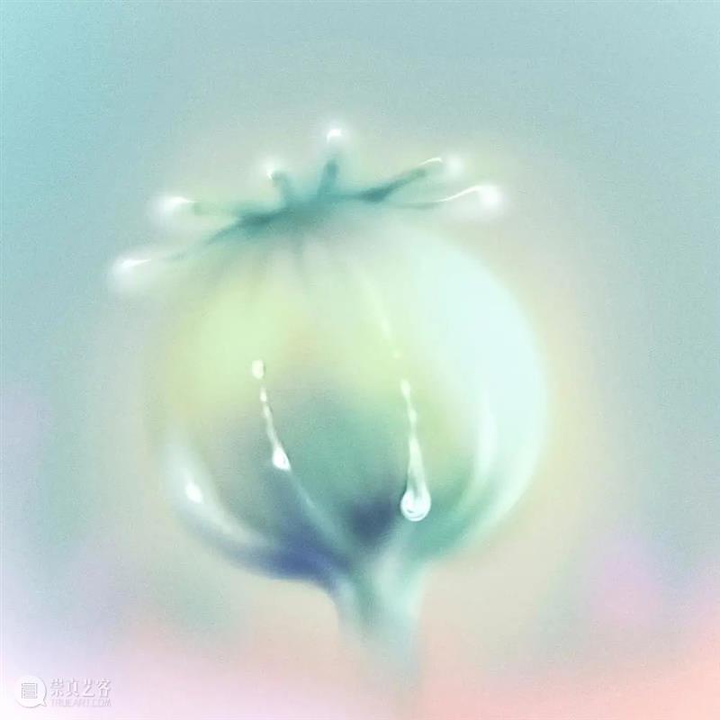 HOW OPENFILE | 熊姝华：画出我所感受到的。 熊姝华 OPENFILE 插画 艺术展 展期 艺术家 Singer Daniel Cremers Burgerman 崇真艺客