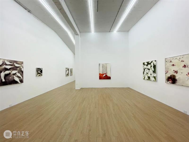 墨方Mocube | 2021年度展览全辑 墨方Mocube 墨方 空间 基础 艺术 现场 领域 活动 项目 其中 崇真艺客