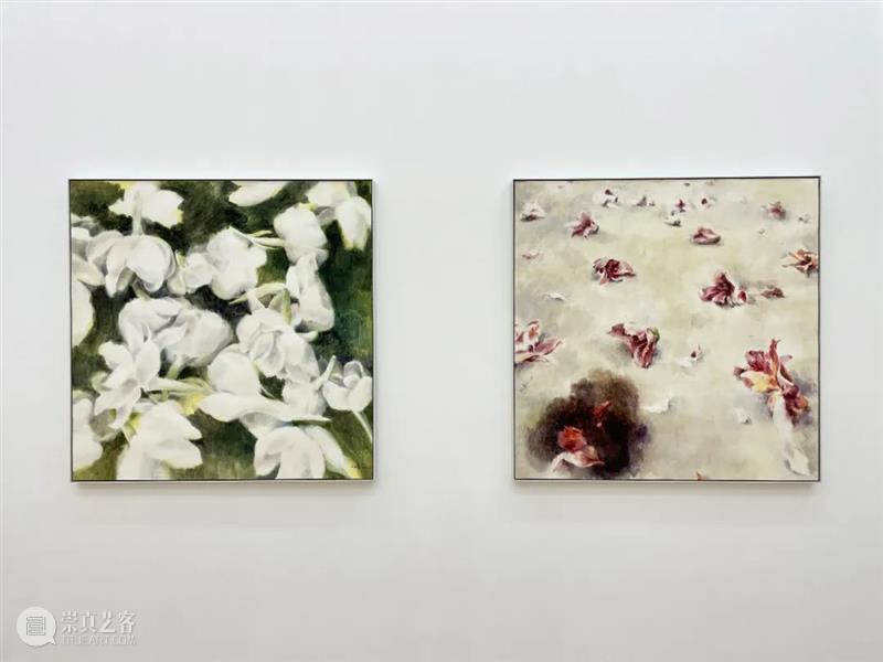 墨方Mocube | 2021年度展览全辑 墨方Mocube 墨方 空间 基础 艺术 现场 领域 活动 项目 其中 崇真艺客