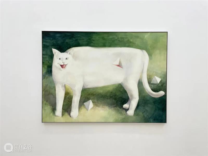 墨方Mocube | 2021年度展览全辑 墨方Mocube 墨方 空间 基础 艺术 现场 领域 活动 项目 其中 崇真艺客