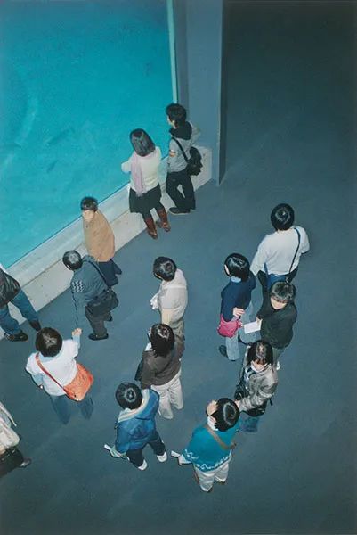 Stephen Gill | 想象一下，如果照片是有生命的 Gill 照片 Stephen 生命 英国 布里斯托 影像 作者 艺术 灵感 崇真艺客