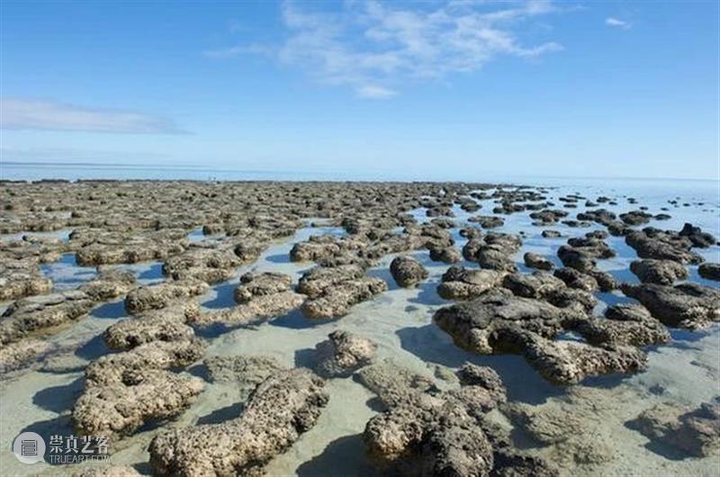 前寒武纪:地球最早的纪元,黎明前的漫漫长夜 地球 纪元 前寒武纪 黎明 漫漫长夜 史诗 古代 天圆地方 山海经 奇闻 崇真艺客