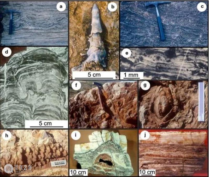 前寒武纪:地球最早的纪元,黎明前的漫漫长夜 地球 纪元 前寒武纪 黎明 漫漫长夜 史诗 古代 天圆地方 山海经 奇闻 崇真艺客