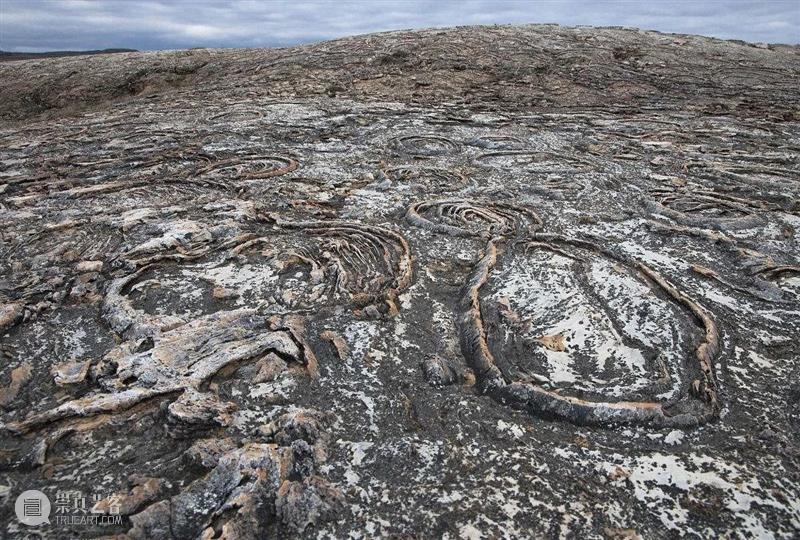 前寒武纪:地球最早的纪元,黎明前的漫漫长夜 地球 纪元 前寒武纪 黎明 漫漫长夜 史诗 古代 天圆地方 山海经 奇闻 崇真艺客