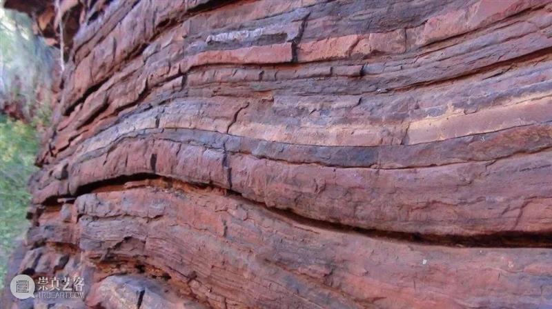 前寒武纪:地球最早的纪元,黎明前的漫漫长夜 地球 纪元 前寒武纪 黎明 漫漫长夜 史诗 古代 天圆地方 山海经 奇闻 崇真艺客