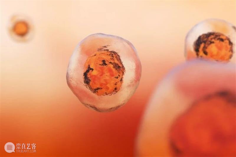 前寒武纪:地球最早的纪元,黎明前的漫漫长夜 地球 纪元 前寒武纪 黎明 漫漫长夜 史诗 古代 天圆地方 山海经 奇闻 崇真艺客