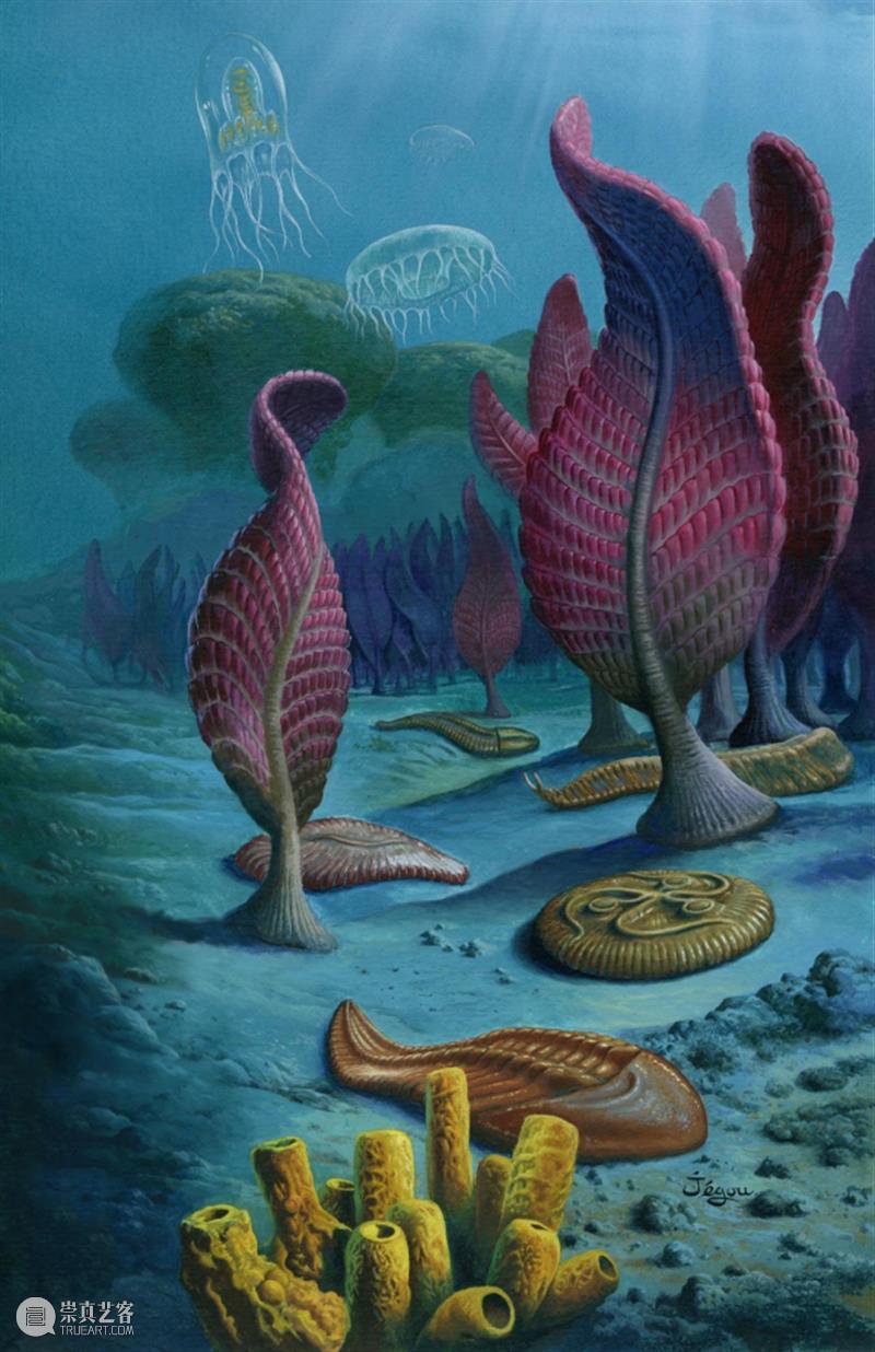 前寒武纪:地球最早的纪元,黎明前的漫漫长夜 地球 纪元 前寒武纪 黎明 漫漫长夜 史诗 古代 天圆地方 山海经 奇闻 崇真艺客