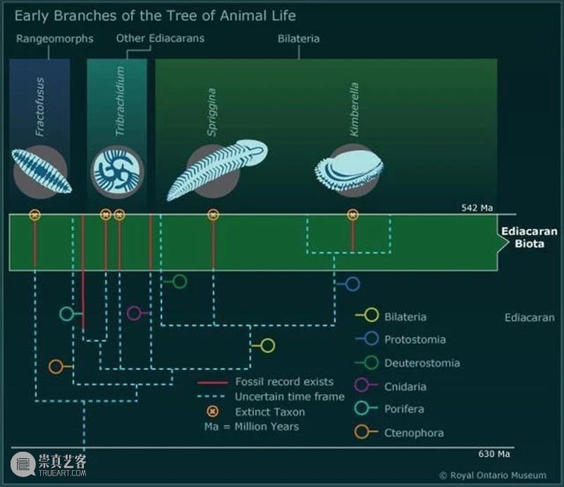 前寒武纪:地球最早的纪元,黎明前的漫漫长夜 地球 纪元 前寒武纪 黎明 漫漫长夜 史诗 古代 天圆地方 山海经 奇闻 崇真艺客